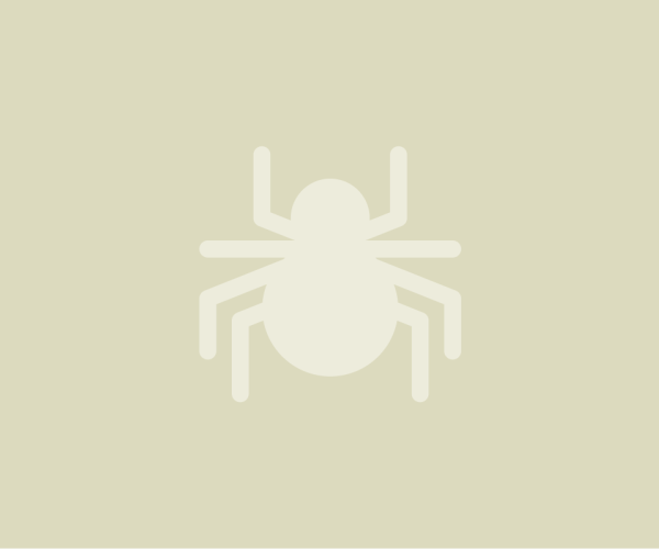 spiders placeholder