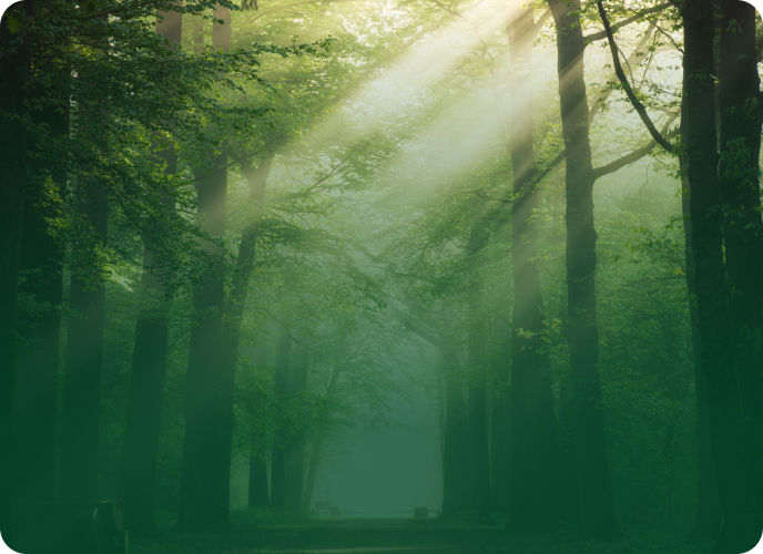 Nature Reserves