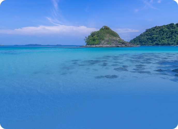 sea diversity en
