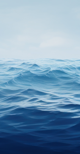 sea day